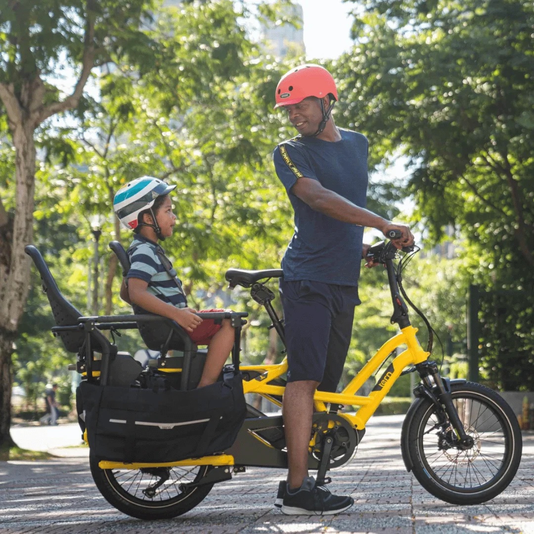 Urban Arrow Family cargo bike