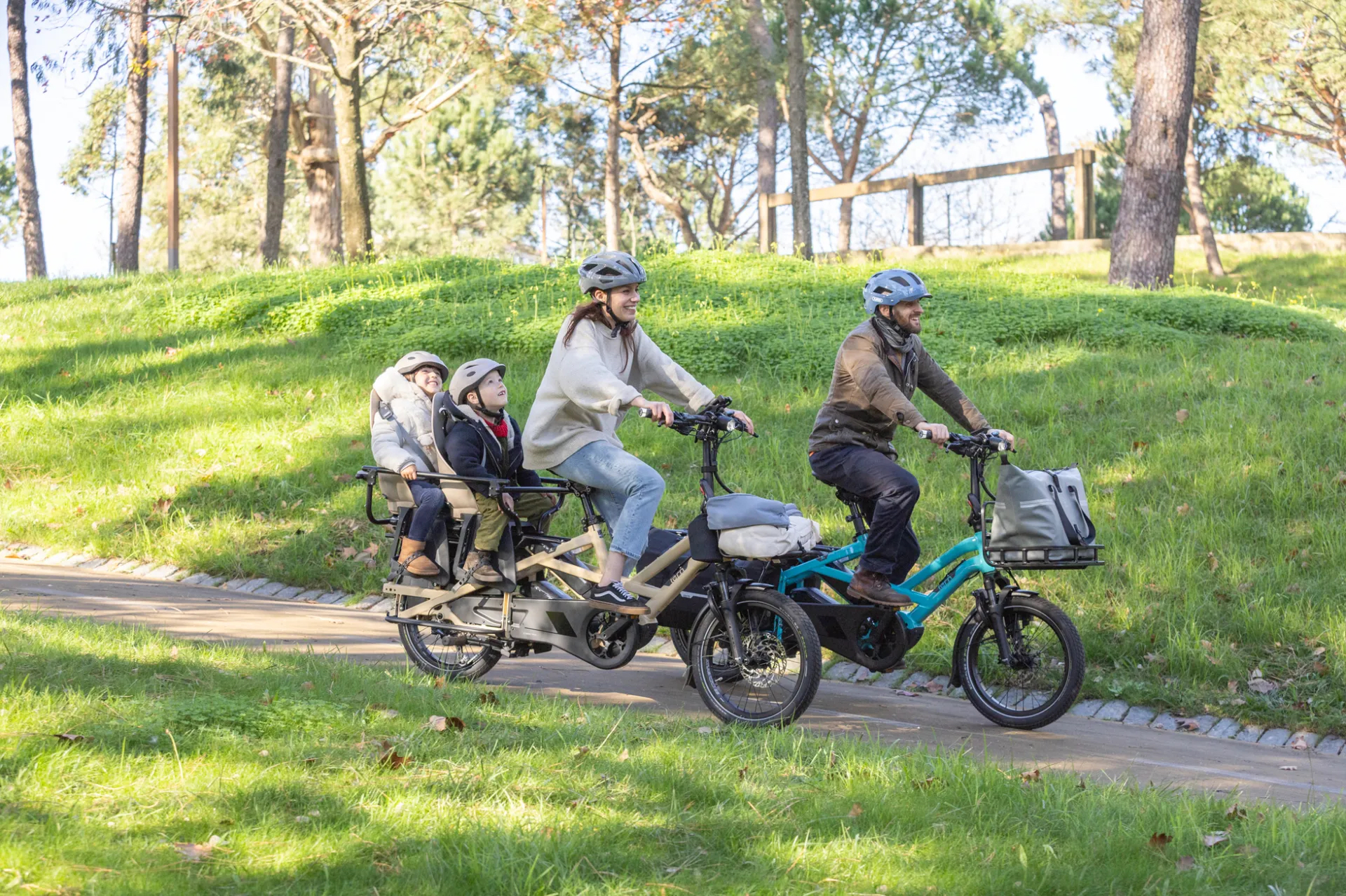 Urban Arrow Family cargo bike