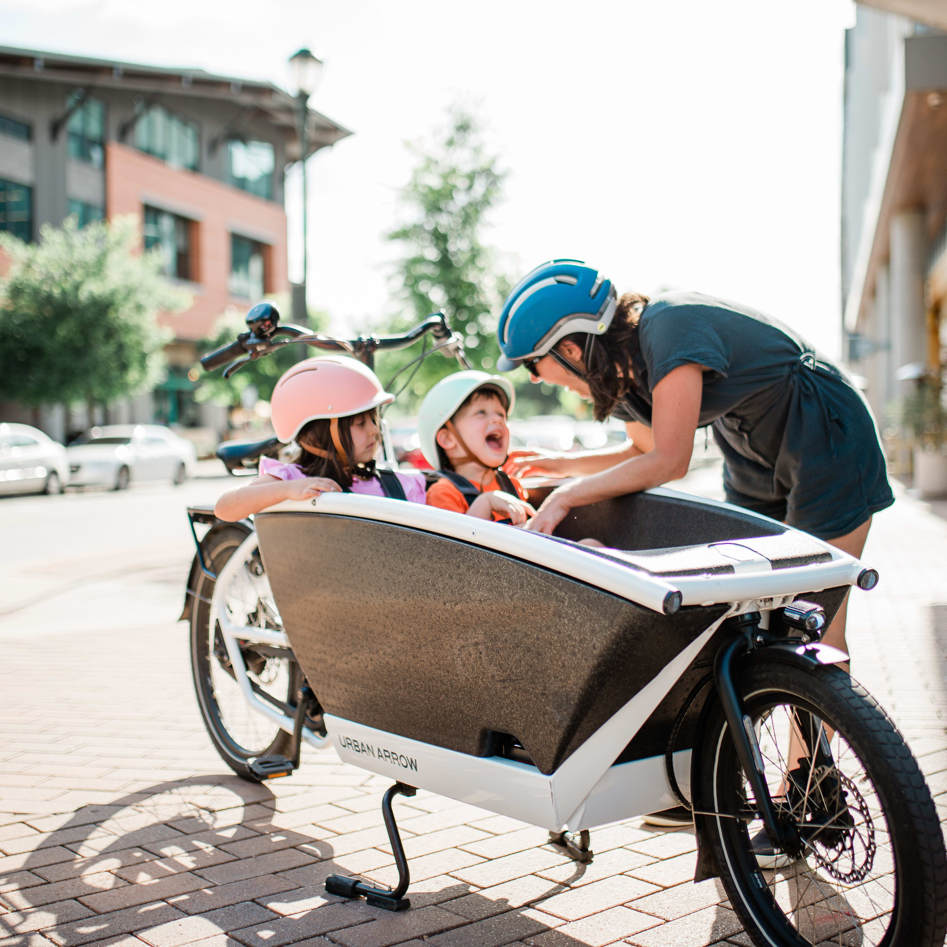 Urban Arrow Family cargo bike